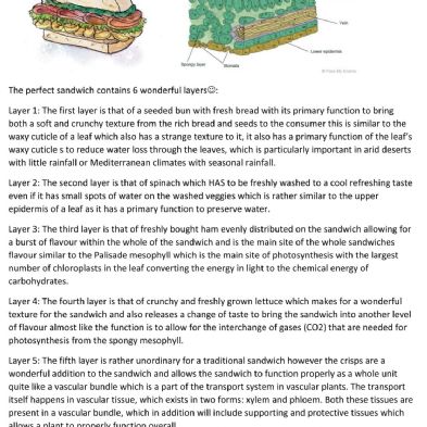 tsa_HomeLearningScience (20)